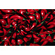 Cotone Twill Peperone Rosso Cotone Twill Peperone Rosso