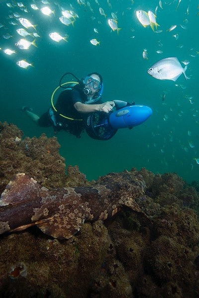 Yamaha RDS 250 onderwaterscooter | Boot4.nl