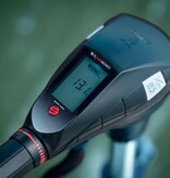 Rhino Rhino BLX 80 V2