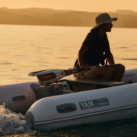 Torqeedo Torqeedo Cruise 6.0 Tiller