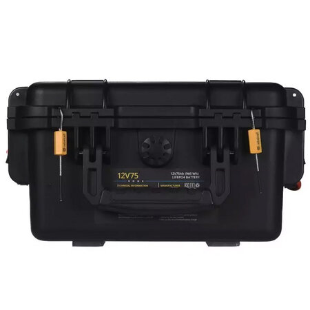 Minn Kota Minn Kota endura max 55, Rebelcell outdoorbox 12.75 edge, 20a lader