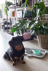 IRIS Pet Feeding Tray PFT-450 Light Grey