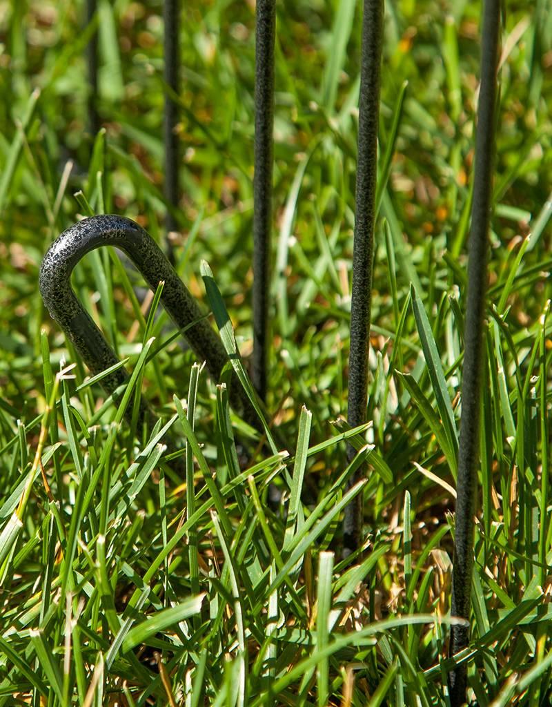 IRIS Wire Pet Circle 48 inch Silver