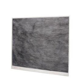 IRIS Woozoo® by Ohyama, Koolstoffilter, actieve kool - voor Air Purifier AP-45