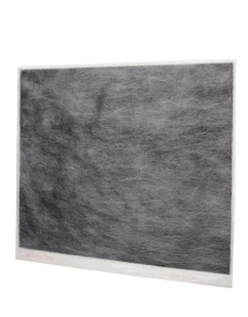 IRIS Woozoo® by Ohyama, Koolstoffilter, actieve kool - voor Air Purifier AP-45