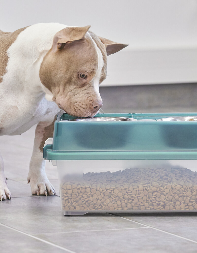 IRIS Pet feeding tray size M - FS-M - Transparant