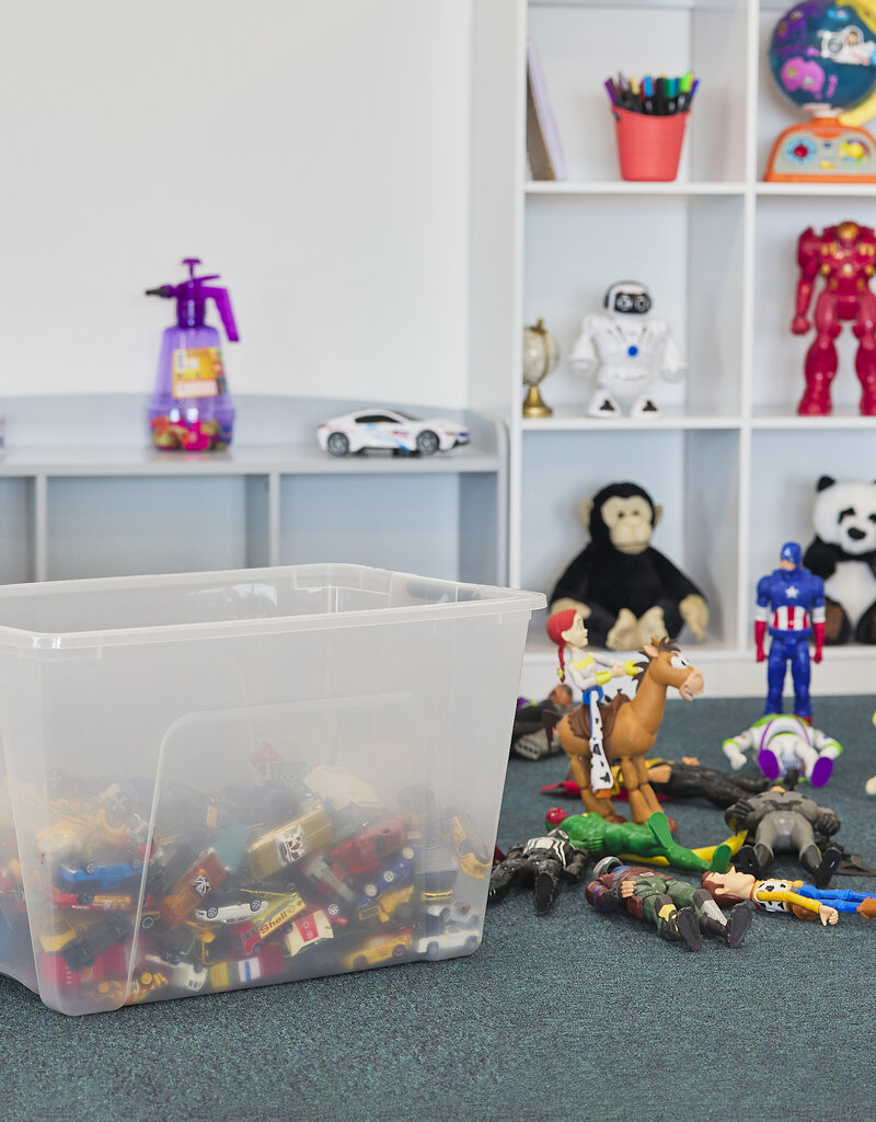 IRIS Design New Top Box - 60 liters - Set of 1 - DDNTB-60 - Transparent