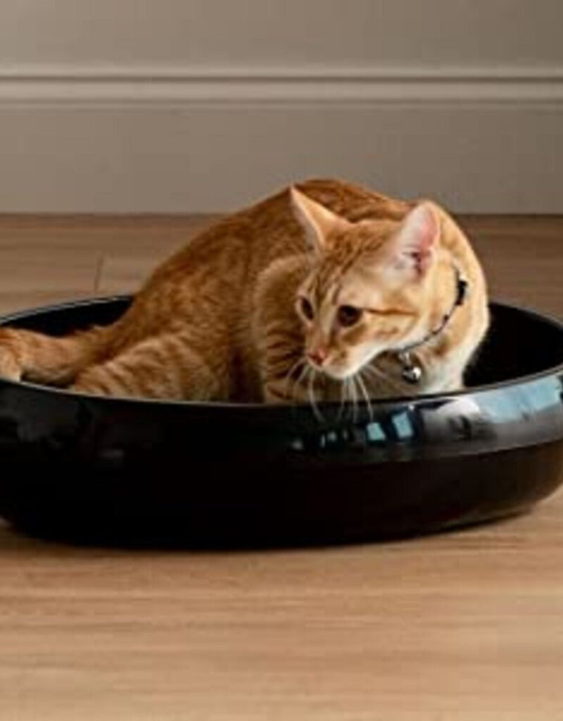 IRIS #Cat Toilet PNE-480 Black US PKG