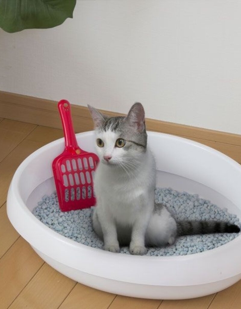 IRIS #Cat Toilet PNE-480 White US PKG