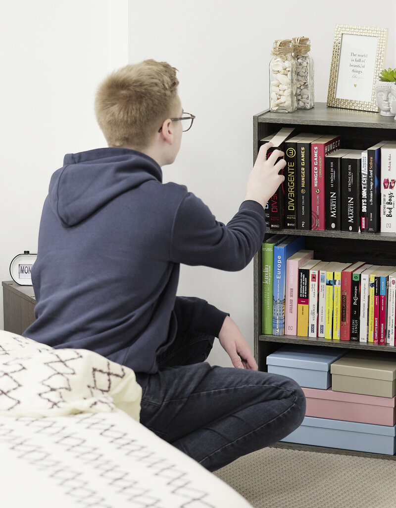 IRIS #FS]Basic Storage Shelf CX-3 Gr.Oak