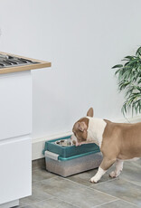 IRIS Pet feeding tray size M - FS-M - Transparant