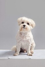 IRIS #Pet pad NS-60W EUNB