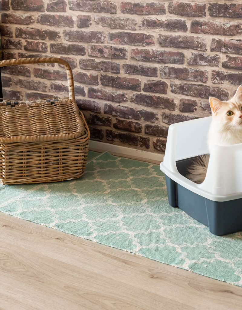 IRIS Cat Small Tray - CLH-12 - Grey