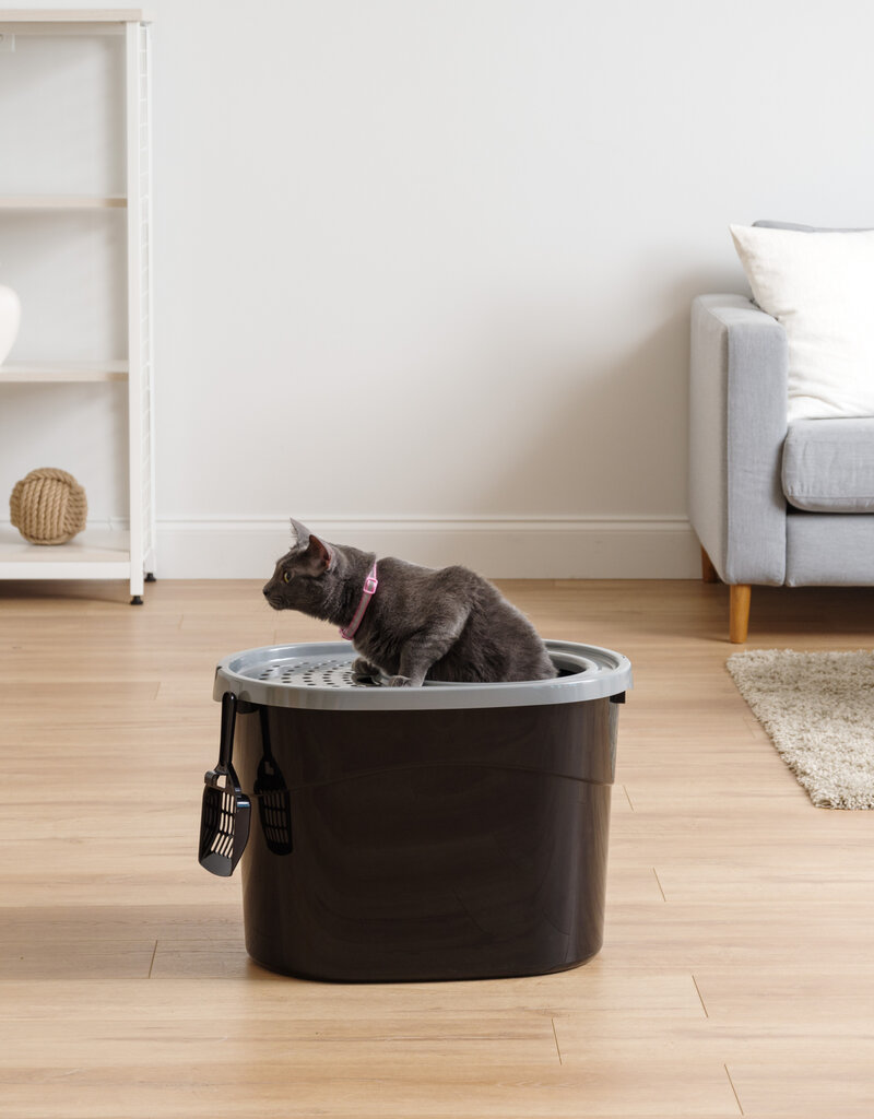 IRIS Kattenbak - Bovenste Ingang - TECL-20 - Black