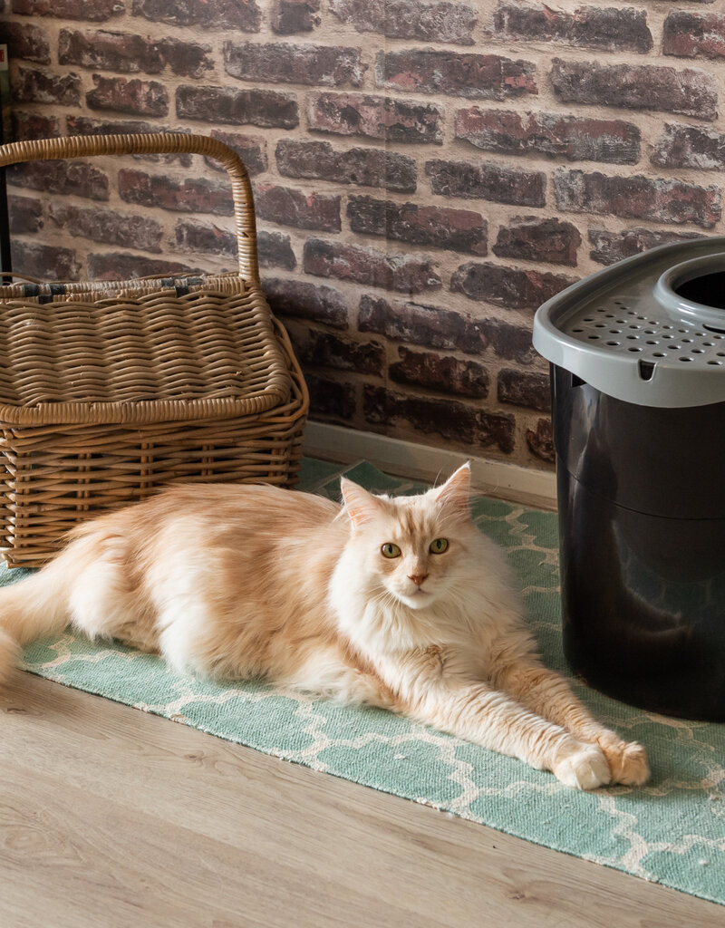 IRIS Cat Litter Box - Top Entrance - TECL-20 - Black