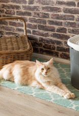 IRIS Cat Litter Box - Top Entrance - TECL-20 - Grey