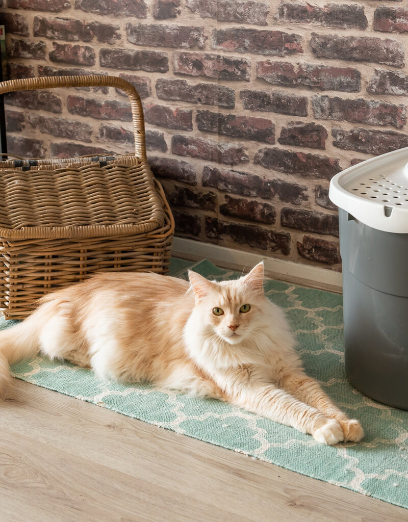 IRIS Cat Litter Box - Top Entrance - TECL-20 - Grey