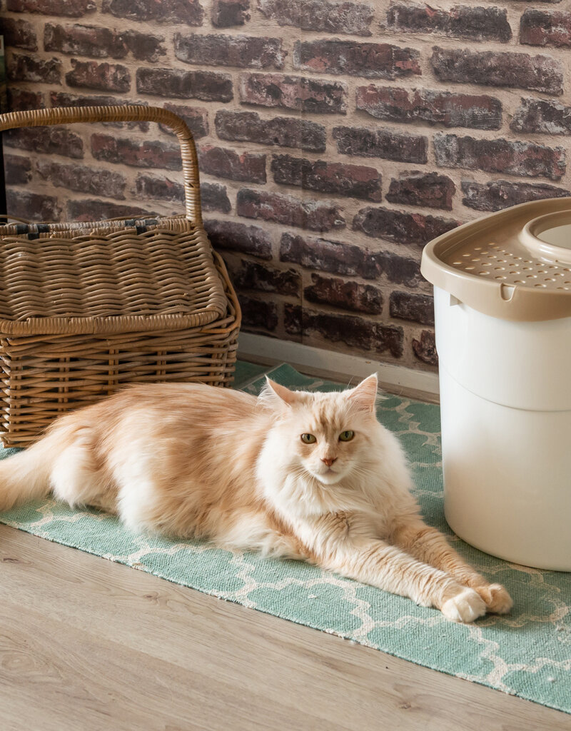 IRIS Cat Litter Box - Top Entrance - TECL-20 - White