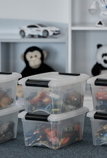 IRIS Design New Top Box - 5 liters - Set of 6 - DDNTB-5 - Transparent