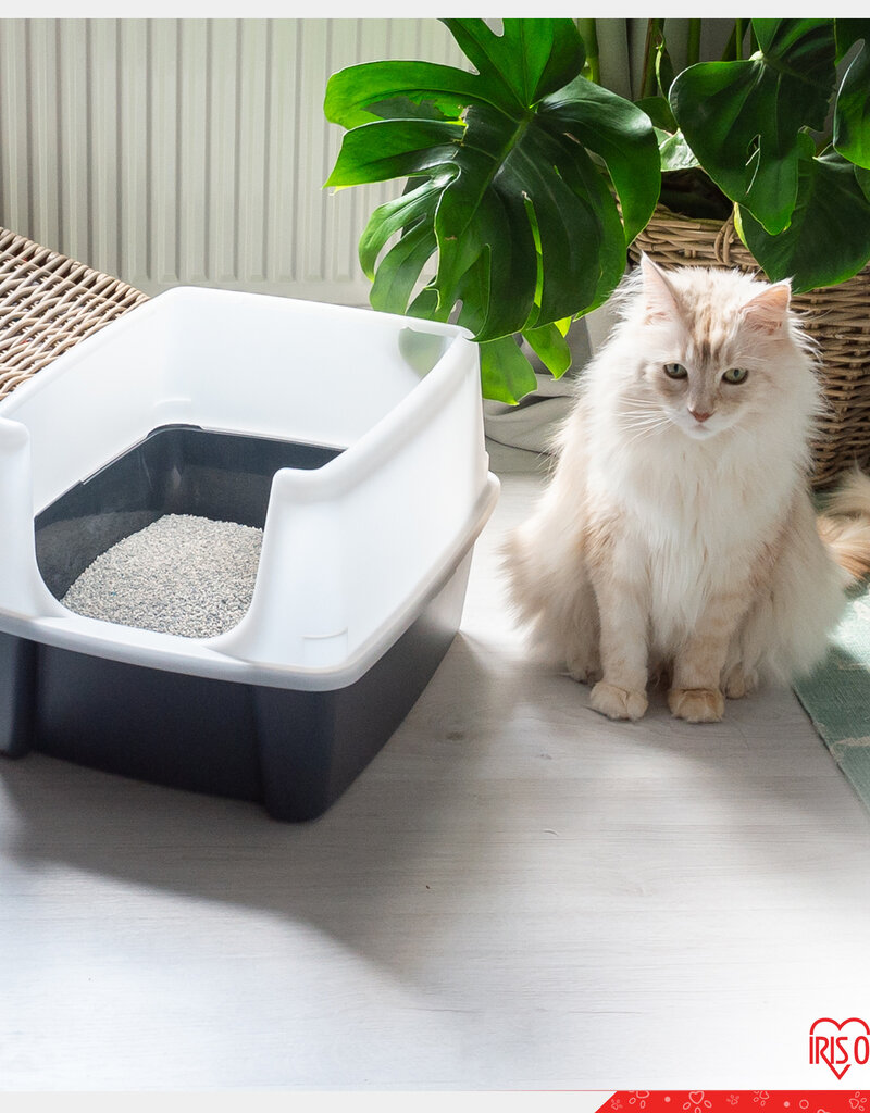 IRIS Cat Litter Sand KF-80 x2