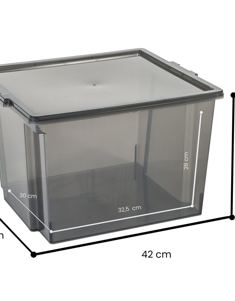 IRIS Multifunctionele Opbergdozen, 30L, 6-pack, grijs, USB-M