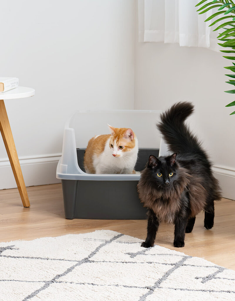 IRIS Grote Kattenbak XXL, grijs, CLH-XL