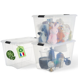 IRIS Bewaardoos van gerecycled plastic huis, 55L, set van 3, transparant, BSB-55