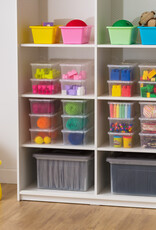 IRIS kleine multifunctionele plastic opbergdozen, 5L, set van 20, doorzichtig, CNL-5E