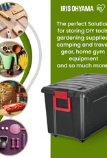 IRIS SIA-110 Rgrd/Rgrd/D.Red nobox [EcA]