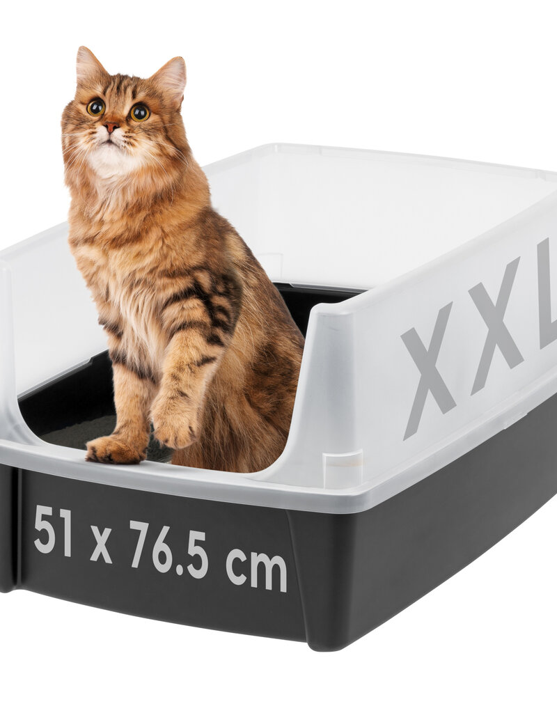 IRIS kattenbak XL open, hoge splashwanden, grote bak, zwart, CLH-XL