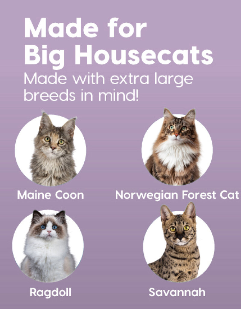 IRIS kattenbak XL open, hoge splashwanden, grote bak, zwart, CLH-XL