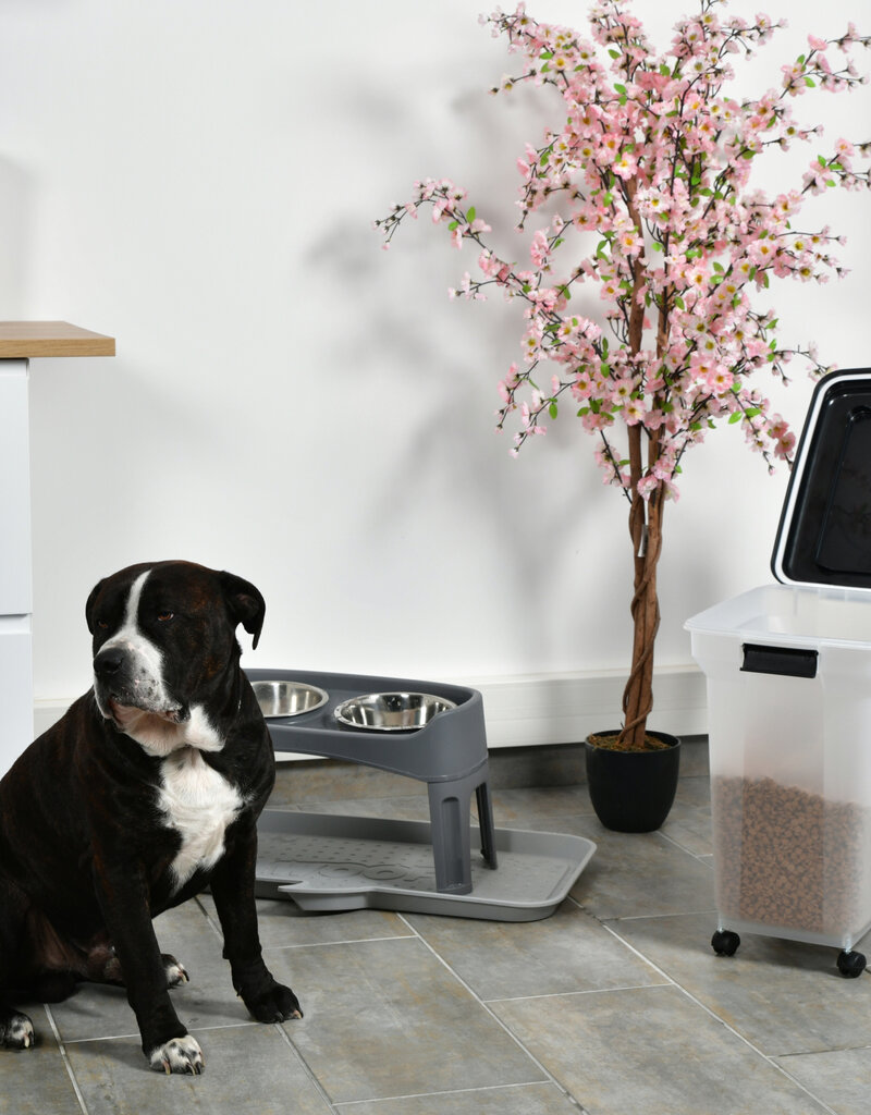 IRIS NT]ATS-L C/Rgrd/Bk nobox [EcB]