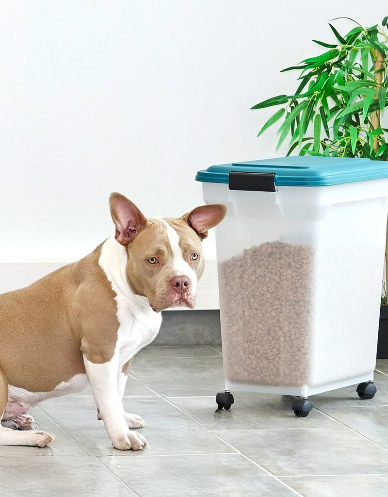 IRIS NT]ATS-L C/T.Blue/Bk Box[Ec]