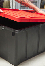 IRIS [3]DDSKT-700 x4 Rgrd/D.Red Box [EcB]