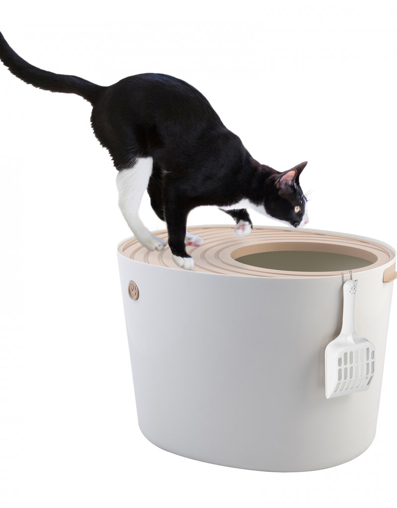 IRIS NT]PUNT-530 OW/Beige nobox [EcB]