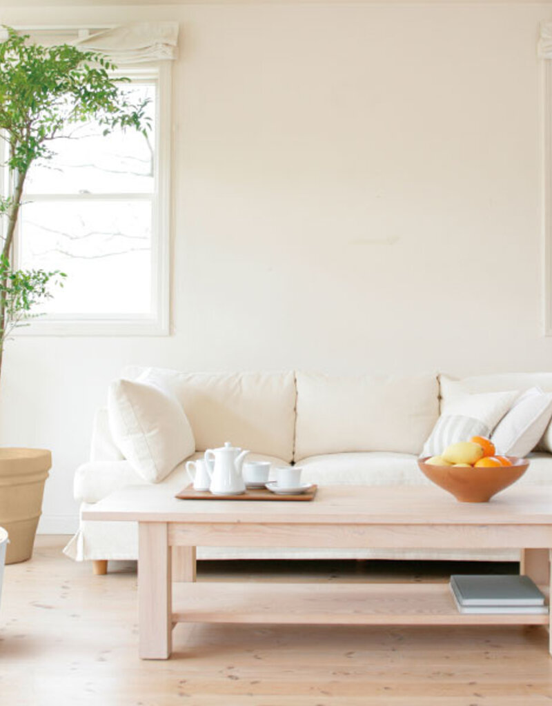 IRIS Gesloten Kattenbak, schep inbegrepen, deksel voor katten, PUNT-530, Beige