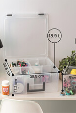 IRIS Plastic hobby opbergdoos, 25L, 4 vakken, doorzichtige DCB-4