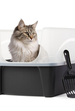 IRIS kattenbak met schop, zwart, makkelijk schoon, lekvrij, voor volwassen katten, kittens, DDCLH-12