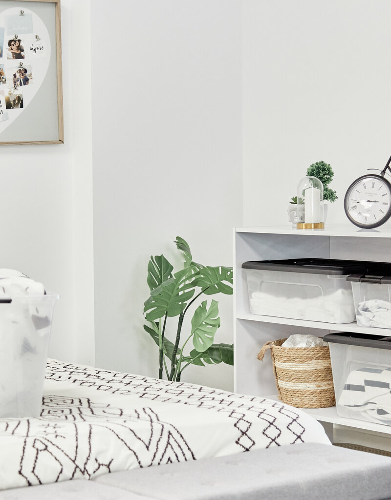 IRIS [3]NTB-45 x6 C/Rgrd/Bk Box [EcB]