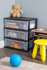 IRIS NSW-603 x2 Rgrd/C box [EcB]