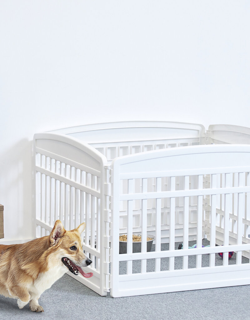 IRIS binnenspeelren voor honden, buiten met 6 panelen en afsluitbare deur, H60cm, wit, voor honden, puppy, CI-606E