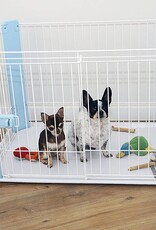 IRIS #Pet Circle CLS-960 Blue EUNB