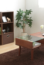 IRIS planken, boekenkast, occasionele meubels, CX-3 - Bruin, W29 x D41,4 x H87,9 cm