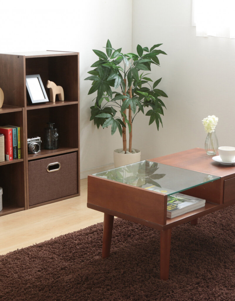 IRIS planken, boekenkast, occasionele meubels, CX-3 - Bruin, W29 x D41,4 x H87,9 cm