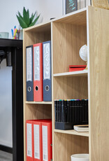 IRIS #FS]Basic Storage Shelf CX-23C L.Br