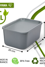 IRIS SNL-S x3 DIYGreyR/DIYGreyR box [EcA]