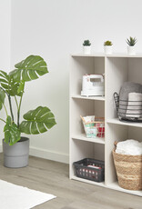 IRIS #FS]Basic Storage Shelf CX-23C W.Oak