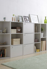IRIS #FS]Basic Storage Shelf CX-23C W.Oak