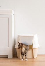 IRIS [3]CLH-17J Wh/Be [EcA]