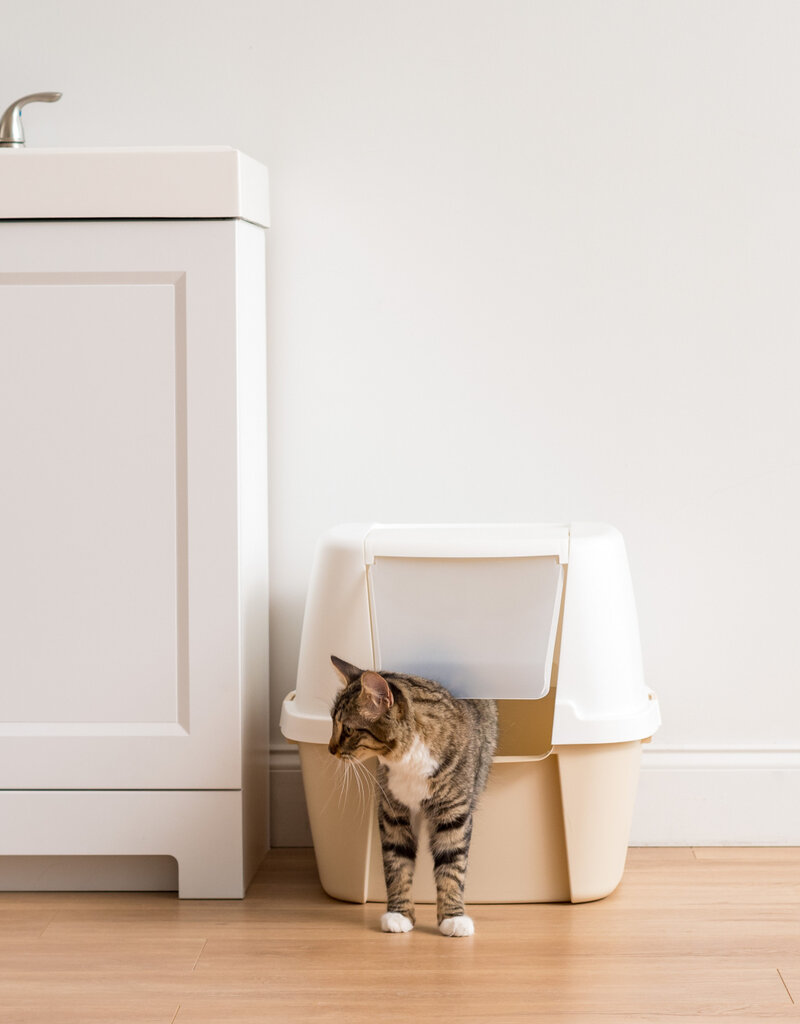 IRIS [3]CLH-17J Wh/Be [EcA]